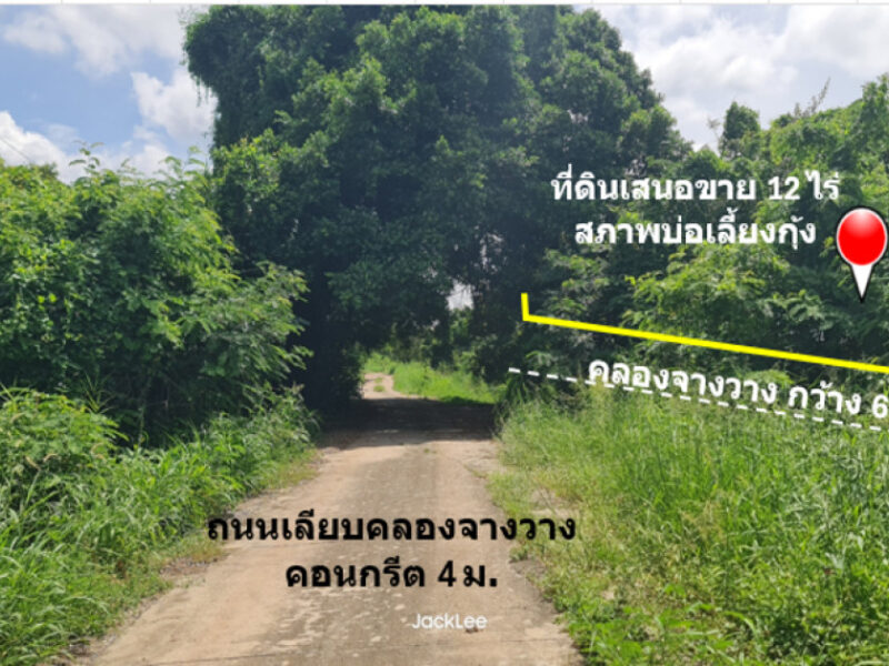 ขาย ที่ดิน ติดถนนเลียบคลองจางวาง ใกล้แม่น้ำบางปะกง อ.บ้านโพธิ์ แปลงสวย 12 ไร่ ติดโครงการบางปะกงริเวอร์ไซด์ พร้อมโอน ฟรีค่าโอน ราคายุติธรรม