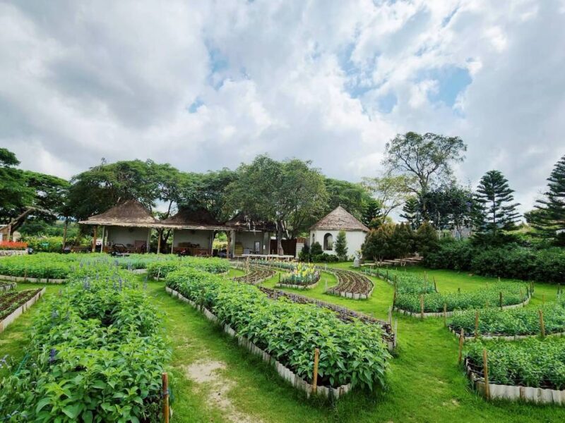 #ที่ดินเขาใหญ่ ซอย.กำนันโจ้ 36 ไร่. (ติด.เดอะ พีค ฟลาวเวอร์ แลนด์)ไร่ล่ะ 3.9 ล้าน บ.ซับสวอง ต.ขนงพระ อ.ปากช่อง จ.นครราชสีมา