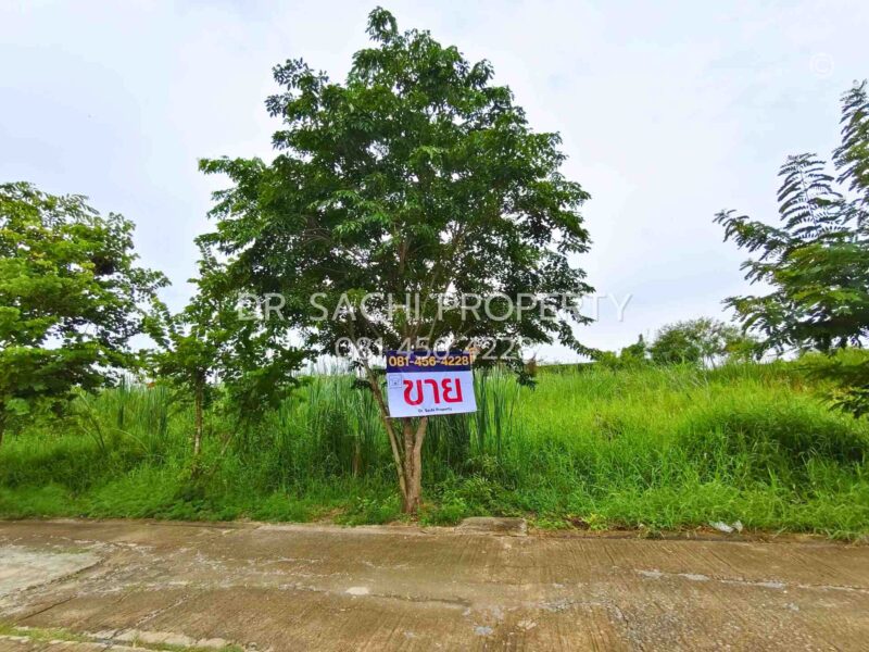 ขายที่ดินสวย บางบัวทอง 3 งาน 20 ตรว. ทำเลดี ถนนวัดลาดปลาดุก ใกล้ เซ็นทรัล เวสต์เกต