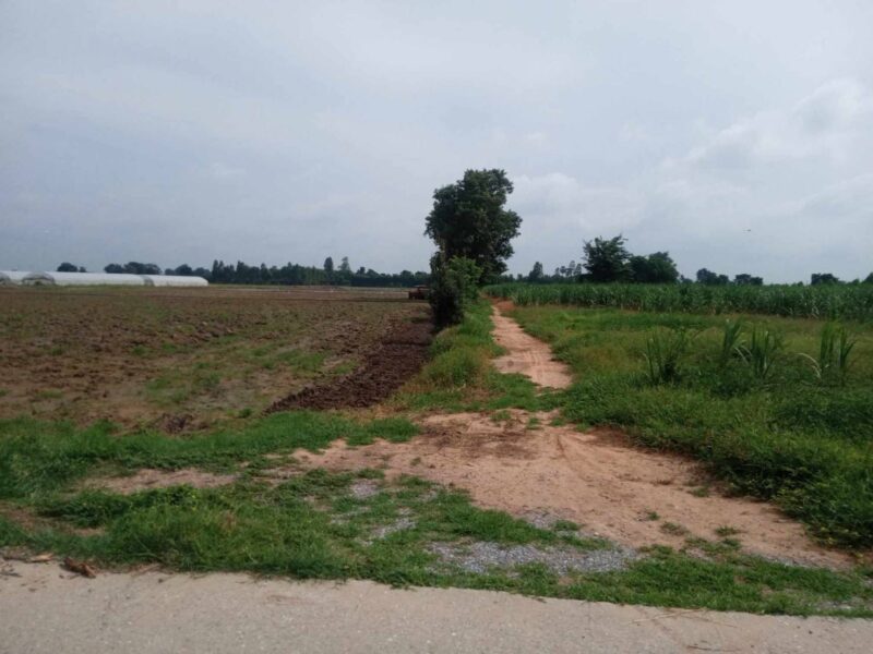 ที่ดินทำเลดี 12 ไร่ อำเภอหนองหญ้าไซ สุพรรณบุรี เหมาะสำหรับสร้างบ้านสวน/ทำการเกษตร พร้อมอยู่!