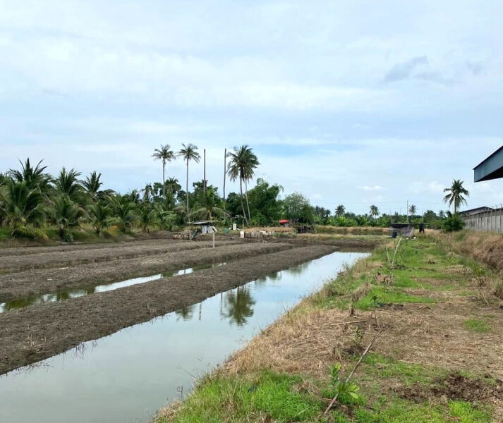 ขายที่ดินเปล่า 8 ไร่ 1 งาน 15 ตร.วา ติดถนนเส้น 375 นครปฐม - ดอนตูม