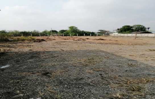 ให้เช่า ที่ดิน คลอง 10 ลำลูกกา 7 ไร่ 2 งาน 66 ตร.วา ทำเลดี ติดถนนลำลูกกา เหมาะทำการค้า โกดัง ปั๊มน้ำมัน