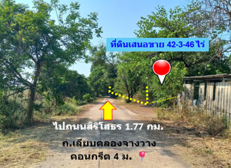 ขาย ที่ดิน ติดถนนเลียบคลองจางวาง ใกล้แม่น้ำฯ อ.บ้านโพธิ์ 42 ไร่ 3 งาน 46 ตรว ติดโครงการบางปะกงริเวอร์ไซด์ พร้อมโอน ฟรีค่าโอน ราคายุติธรรม
