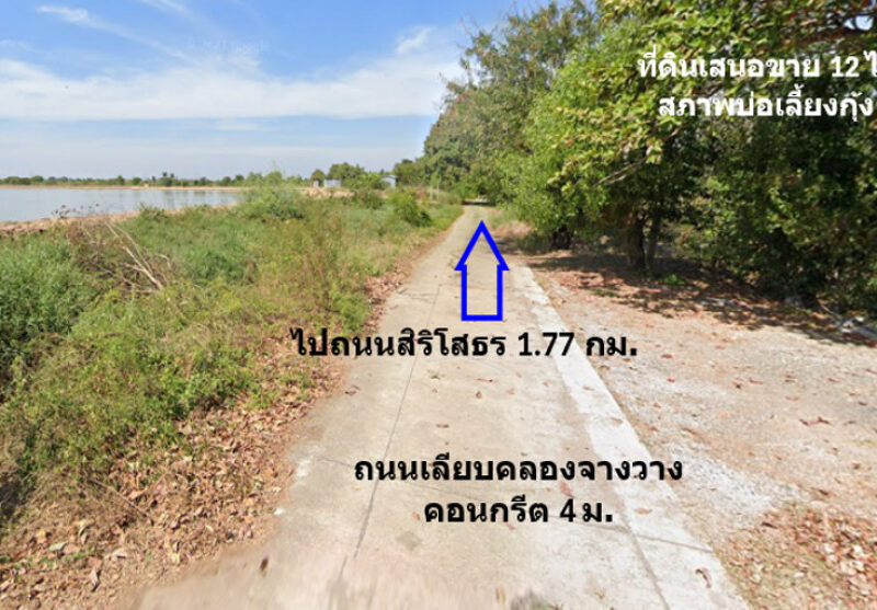 ขาย ที่ดิน ติดถนนเลียบคลองจางวาง ใกล้แม่น้ำบางปะกง อ.บ้านโพธิ์ แปลงสวย 12 ไร่ ติดโครงการบางปะกงริเวอร์ไซด์ พร้อมโอน ฟรีค่าโอน ราคายุติธรรม