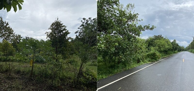 ขายที่ดินพร้อมบ้าน เนื้อที่ 365 ตารางวา อ.เกาะจันทร์ จ.ชลบุรี