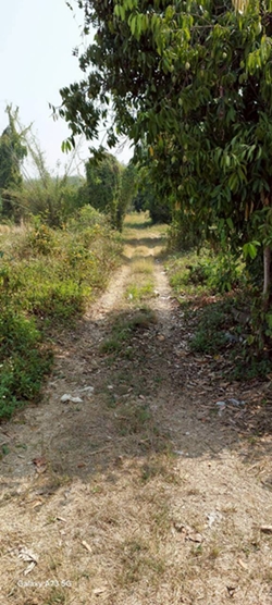 ขายที่ดินเปล่าในจ.ลำพูน ด้านหน้าติดถนนใหญ่ ติดแม่น้ำ พื้นที่สวย ทำเลดี อยู่ในเขตชุมชน ปลอดภัย ห่างจากสถานที่ราชการไม่เกิน 700 เมตร