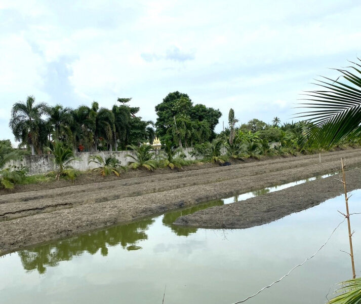 ขายที่ดินเปล่า 8 ไร่ 1 งาน 15 ตร.วา ติดถนนเส้น 375 นครปฐม - ดอนตูม