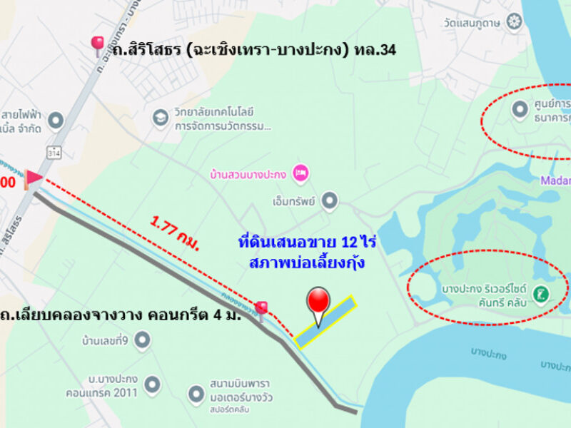 ขาย ที่ดิน ติดถนนเลียบคลองจางวาง ใกล้แม่น้ำบางปะกง อ.บ้านโพธิ์ แปลงสวย 12 ไร่ ติดโครงการบางปะกงริเวอร์ไซด์ พร้อมโอน ฟรีค่าโอน ราคายุติธรรม