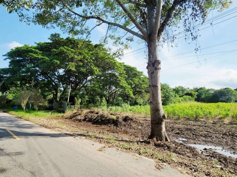 #ที่ดินเขาใหญ่ ซอย.กำนันโจ้ 18-0-92ไร่. (ใกล้.เดอะ พีค ฟลาวเวอร์ แลนด์)ไร่ล่ะ 3.9 ล้าน บ.ซับสวอง ต.ขนงพระ อ.ปากช่อง จ.นครราชสีมา