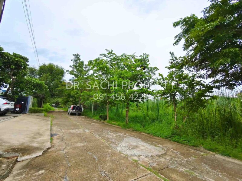 ขายที่ดินสวย บางบัวทอง 3 งาน 20 ตรว. ทำเลดี ถนนวัดลาดปลาดุก ใกล้ เซ็นทรัล เวสต์เกต