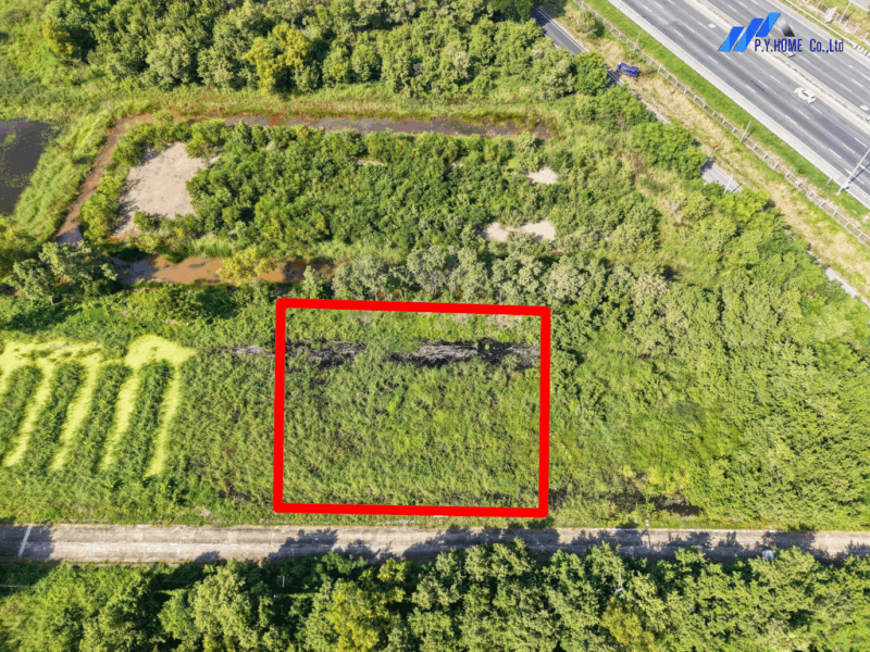 ขายถูก! ที่ดิน 1 ไร่ ใกล้เลียบมอเตอร์เวย์ คลองสี่ คลองหลวง ปทุมธานี