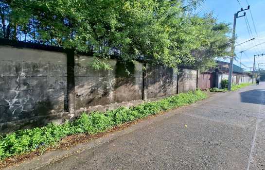 ด่วน! ที่ดินสวยใจกลางเลียบด่วนฯ ซ.ประดิษฐ์มนูธรรม 23 | 200 ตร.วา | เหมาะปลูกบ้าน ออฟฟิศ |แปลงสวย หน้ากว้าง ใกล้ทางด่วน เซ็นทรัลอีสต์วิลล์