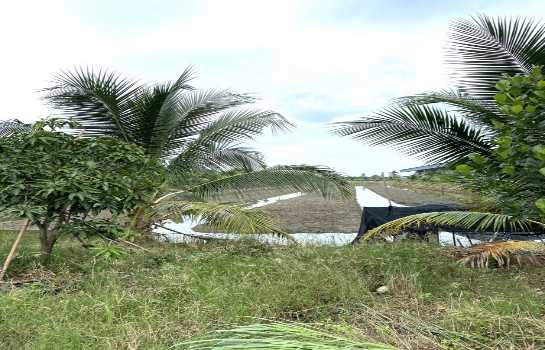 ขายที่ดินเปล่า 8 ไร่ 1 งาน 15 ตร.วา ติดถนนเส้น 375 นครปฐม - ดอนตูม