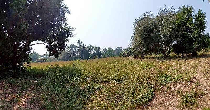 ขายที่ดินเปล่าในจ.ลำพูน ด้านหน้าติดถนนใหญ่ ติดแม่น้ำ พื้นที่สวย ทำเลดี อยู่ในเขตชุมชน ปลอดภัย ห่างจากสถานที่ราชการไม่เกิน 700 เมตร