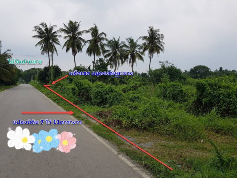 ⭐️ ที่ดินติดถนน ขายด่วน! 7 ไร่ 57 ตรว. อ.บ้านโป่ง ราชบุรี | เจ้าของขายเอง ⭐️