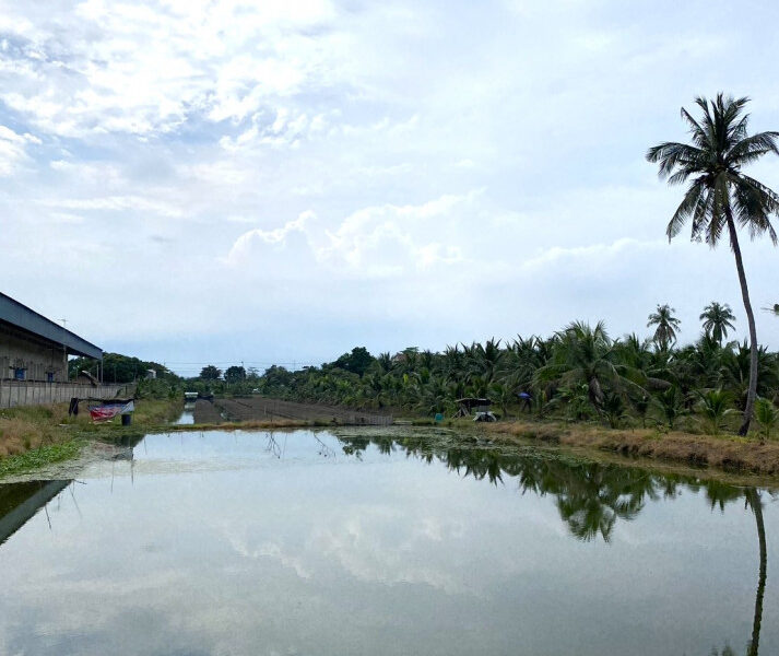 ขายที่ดินเปล่า 8 ไร่ 1 งาน 15 ตร.วา ติดถนนเส้น 375 นครปฐม - ดอนตูม