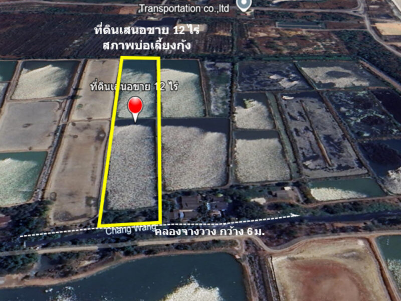 ขาย ที่ดิน ติดถนนเลียบคลองจางวาง ใกล้แม่น้ำบางปะกง อ.บ้านโพธิ์ แปลงสวย 12 ไร่ ติดโครงการบางปะกงริเวอร์ไซด์ พร้อมโอน ฟรีค่าโอน ราคายุติธรรม