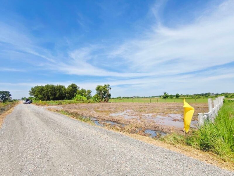 คลอง 6 ซอย 67 แปลงเล็กเหมาะปลูกบ้าน💥 ไม่ไกลจากมอเตอร์เวย์ 100 ตรว. 490,000 บาท ฟรีโอน