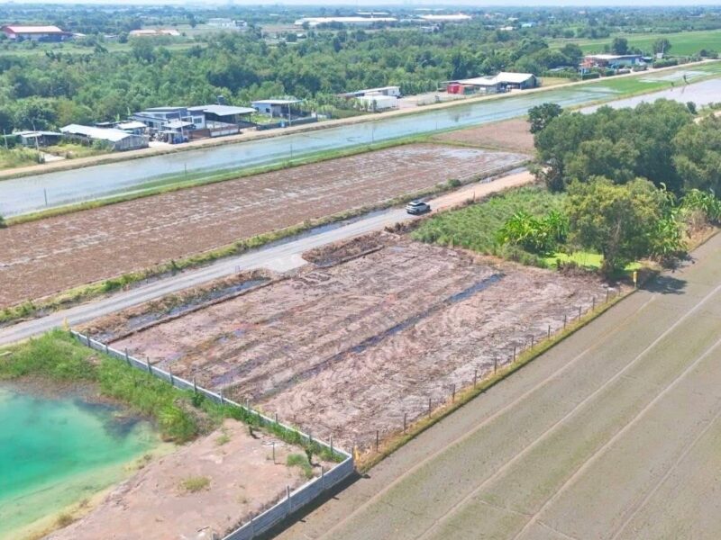 คลอง 6 ซอย 67 แปลงเล็กเหมาะปลูกบ้าน💥 ไม่ไกลจากมอเตอร์เวย์ 100 ตรว. 490,000 บาท ฟรีโอน