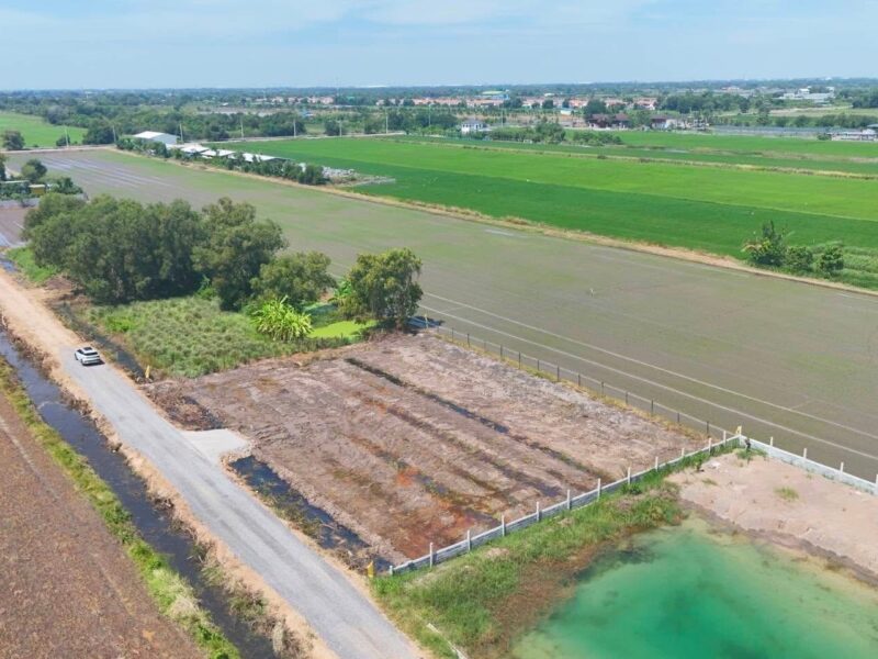 คลอง 6 ซอย 67 แปลงเล็กเหมาะปลูกบ้าน💥 ไม่ไกลจากมอเตอร์เวย์ 100 ตรว. 490,000 บาท ฟรีโอน