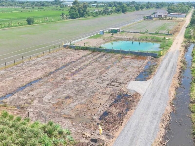 คลอง 6 ซอย 67 แปลงเล็กเหมาะปลูกบ้าน💥 ไม่ไกลจากมอเตอร์เวย์ 100 ตรว. 490,000 บาท ฟรีโอน