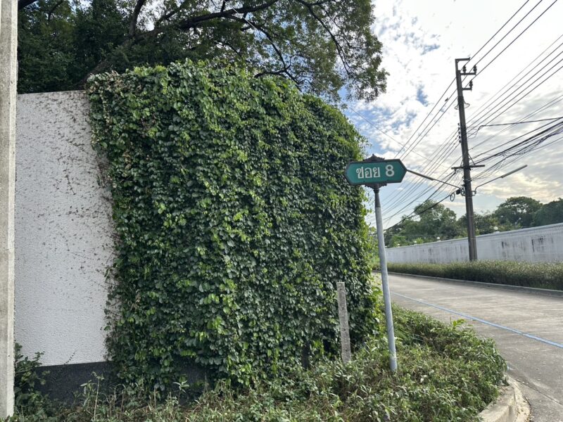 ขายที่ดินหมู่บ้านเอื้อสุข พัฒนาการ 58 แขวง เขต สวนหลวง