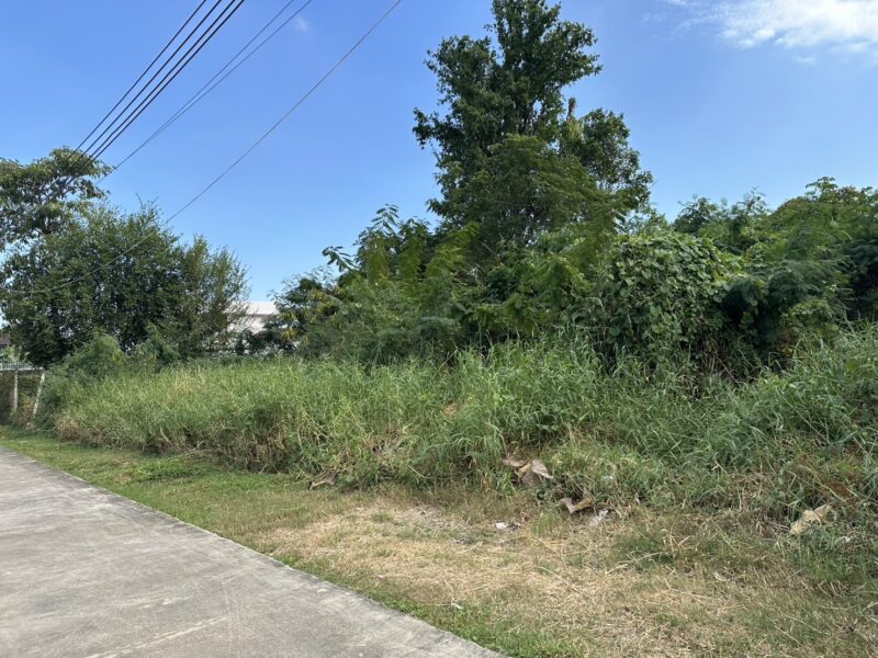 ขายที่ดินหมู่บ้านเอื้อสุข พัฒนาการ 58 แขวง เขต สวนหลวง