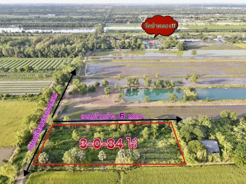 ♻️ ขายที่ดินสวย ใกล้วัดป่าคลอง 11 ทำเลดี คลอง 11 อ.หนองเสือ จ.ปทุมธานี