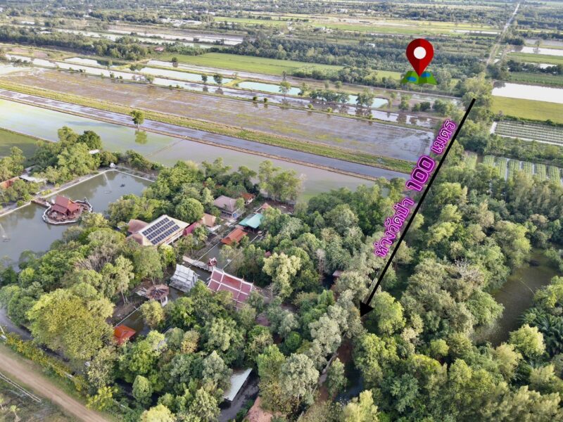 ♻️ ขายที่ดินสวย ใกล้วัดป่าคลอง 11 ทำเลดี คลอง 11 อ.หนองเสือ จ.ปทุมธานี