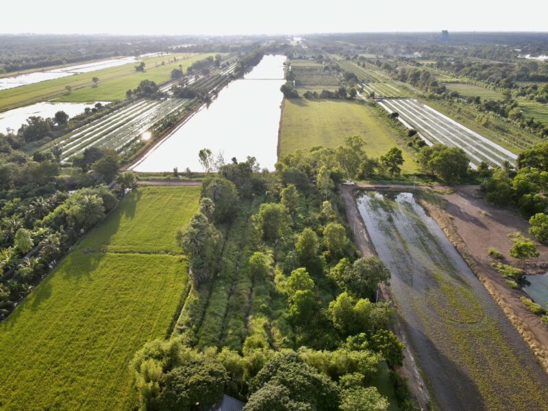 ♻️ ขายที่ดินสวย ใกล้วัดป่าคลอง 11 ทำเลดี คลอง 11 อ.หนองเสือ จ.ปทุมธานี