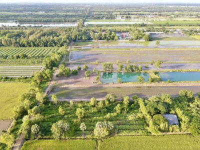 ♻️ ขายที่ดินสวย ใกล้วัดป่าคลอง 11 ทำเลดี คลอง 11 อ.หนองเสือ จ.ปทุมธานี