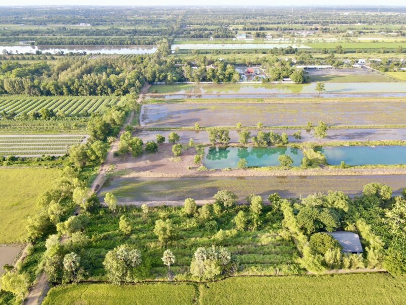 ♻️ ขายที่ดินสวย ใกล้วัดป่าคลอง 11 ทำเลดี คลอง 11 อ.หนองเสือ จ.ปทุมธานี