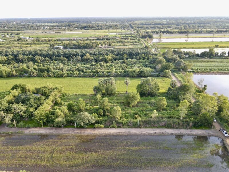 ♻️ ขายที่ดินสวย ใกล้วัดป่าคลอง 11 ทำเลดี คลอง 11 อ.หนองเสือ จ.ปทุมธานี