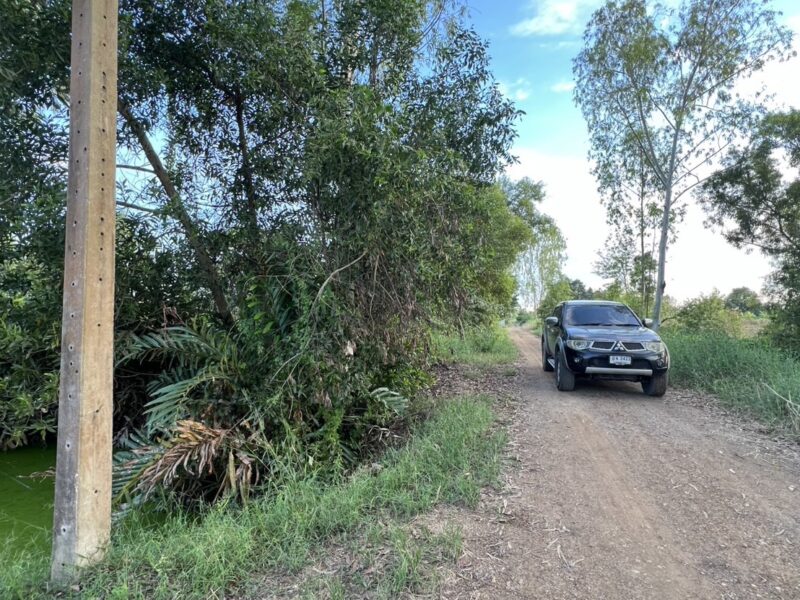 ♻️ ขายที่ดินสวย ใกล้วัดป่าคลอง 11 ทำเลดี คลอง 11 อ.หนองเสือ จ.ปทุมธานี