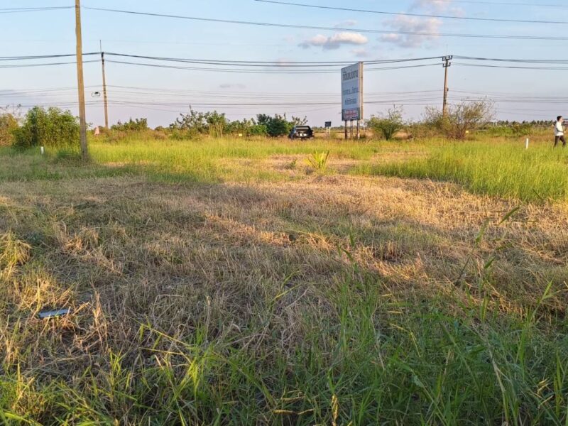 🌳 ขายที่ดินถมแล้ว ทำเลคลอง 16 – หลัง มศว. องครักษ์ ราคาถูกมาก