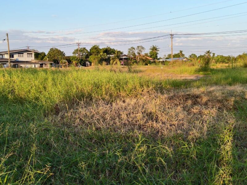 🌳 ขายที่ดินถมแล้ว ทำเลคลอง 16 – หลัง มศว. องครักษ์ ราคาถูกมาก