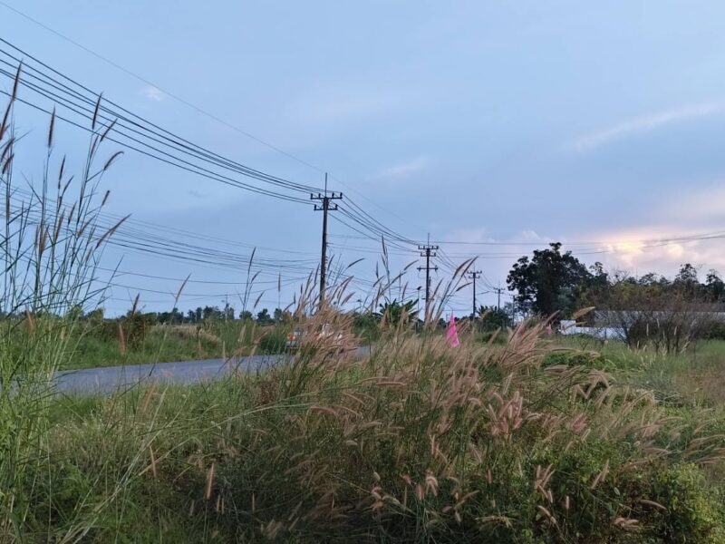 🌳 ขายที่ดินถมแล้ว ทำเลคลอง 16 – หลัง มศว. องครักษ์ ราคาถูกมาก