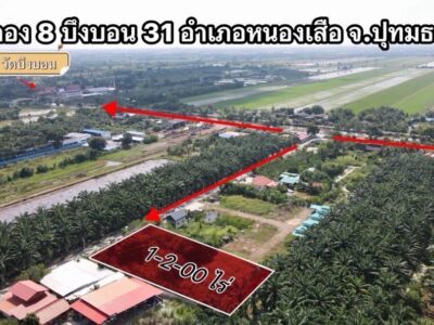 ที่ดินสวยทำเลดี คลอง 8 หนองเสือ ปทุมธานี ขายที่ดิน 1 ไร่กว่า ถมแล้ว ทำเลดี ใกล้รังสิต คลอง 7 – คลอง 8 – ถนนเลียบคลอง – ถนนรังสิตนครนายก