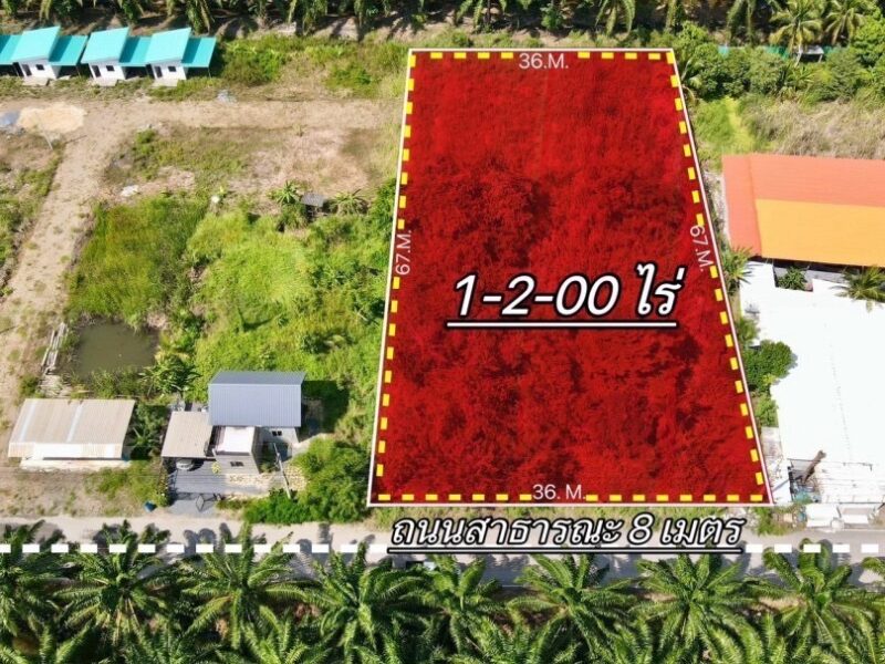 ที่ดินสวยทำเลดี คลอง 8 หนองเสือ ปทุมธานี ขายที่ดิน 1 ไร่กว่า ถมแล้ว ทำเลดี ใกล้รังสิต คลอง 7 – คลอง 8 – ถนนเลียบคลอง – ถนนรังสิตนครนายก