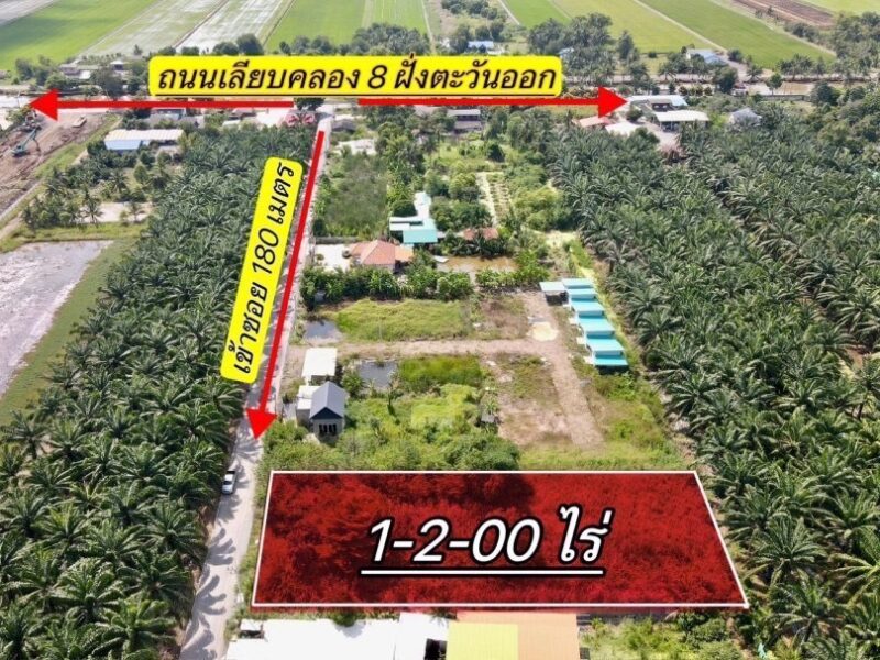 ที่ดินสวยทำเลดี คลอง 8 หนองเสือ ปทุมธานี ขายที่ดิน 1 ไร่กว่า ถมแล้ว ทำเลดี ใกล้รังสิต คลอง 7 – คลอง 8 – ถนนเลียบคลอง – ถนนรังสิตนครนายก