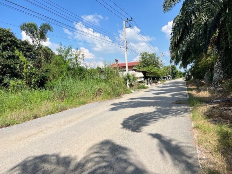 ที่ดินสวยทำเลดี คลอง 8 หนองเสือ ปทุมธานี ขายที่ดิน 1 ไร่กว่า ถมแล้ว ทำเลดี ใกล้รังสิต คลอง 7 – คลอง 8 – ถนนเลียบคลอง – ถนนรังสิตนครนายก