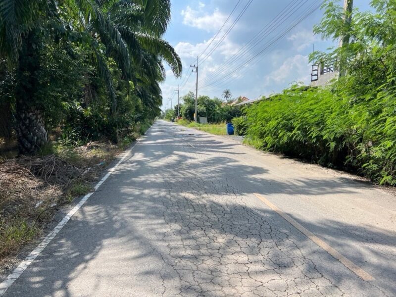 ที่ดินสวยทำเลดี คลอง 8 หนองเสือ ปทุมธานี ขายที่ดิน 1 ไร่กว่า ถมแล้ว ทำเลดี ใกล้รังสิต คลอง 7 – คลอง 8 – ถนนเลียบคลอง – ถนนรังสิตนครนายก