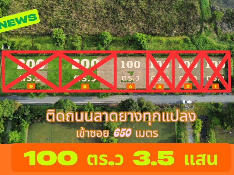 🎉 ด่วนที่สุด! ที่ดินราคาถูก คลอง12 หนองเสือ ปทุมธานี รังสิต-นครนายก แปลงสวย ราคาพิเศษที่สุดในย่านนี้ ใกล้ถนนใหญ่ บรรยากาศดี ในชุมชน