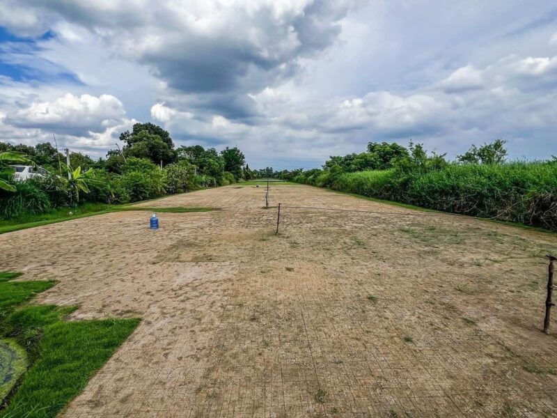 🎉 ด่วนที่สุด! ที่ดินราคาถูก คลอง12 หนองเสือ ปทุมธานี รังสิต-นครนายก แปลงสวย ราคาพิเศษที่สุดในย่านนี้ ใกล้ถนนใหญ่ บรรยากาศดี ในชุมชน