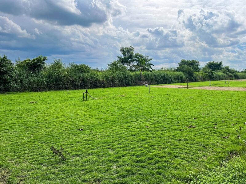 🎉 ด่วนที่สุด! ที่ดินราคาถูก คลอง12 หนองเสือ ปทุมธานี รังสิต-นครนายก แปลงสวย ราคาพิเศษที่สุดในย่านนี้ ใกล้ถนนใหญ่ บรรยากาศดี ในชุมชน