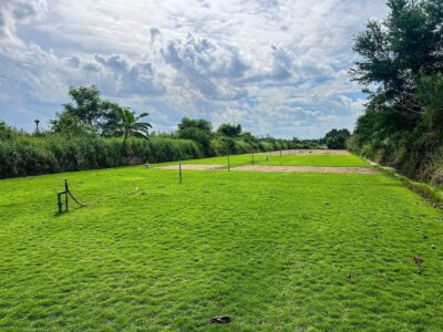 🎉 ด่วนที่สุด! ที่ดินราคาถูก คลอง12 หนองเสือ ปทุมธานี รังสิต-นครนายก แปลงสวย ราคาพิเศษที่สุดในย่านนี้ ใกล้ถนนใหญ่ บรรยากาศดี ในชุมชน