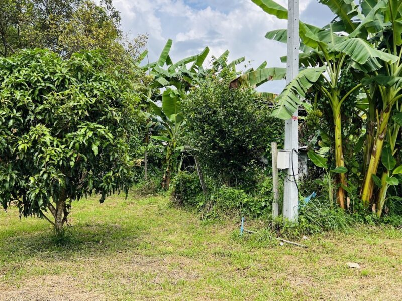 ขายที่ดินสวย ติดน้ำ พร้อมผลไม้ – ต.นาหินลาด อ.ปากพลี จ.นครนายก