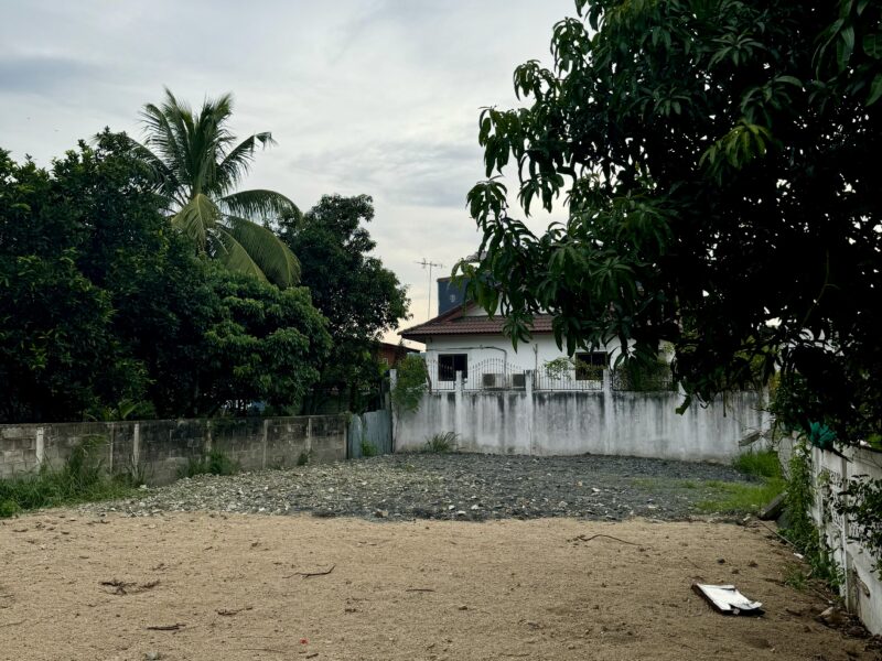 ขายที่ดินปากช่อง 100 ตรว