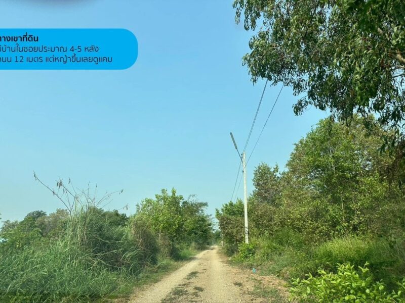 ขายที่ดินเปล่า 2 ไร่ คลองห้าตะวันตก 27/2 ปทุมธานี