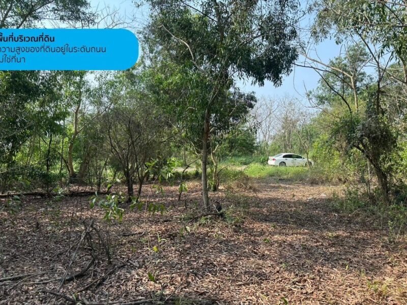 ขายที่ดินเปล่า 2 ไร่ คลองห้าตะวันตก 27/2 ปทุมธานี